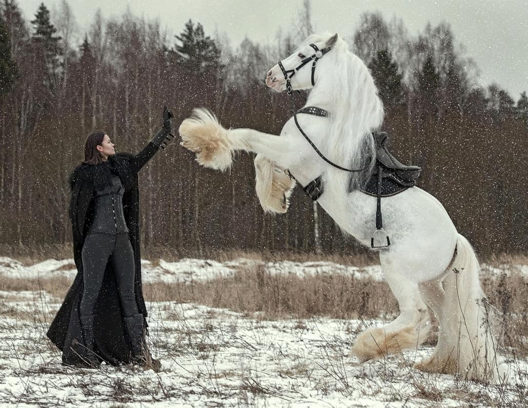 Уроженка Кемерова продала своего титулованного коня Рамзану Кадырову