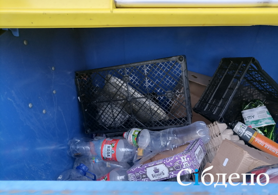 Тело новорожденного младенца нашли в мусорном баке Новокузнецка