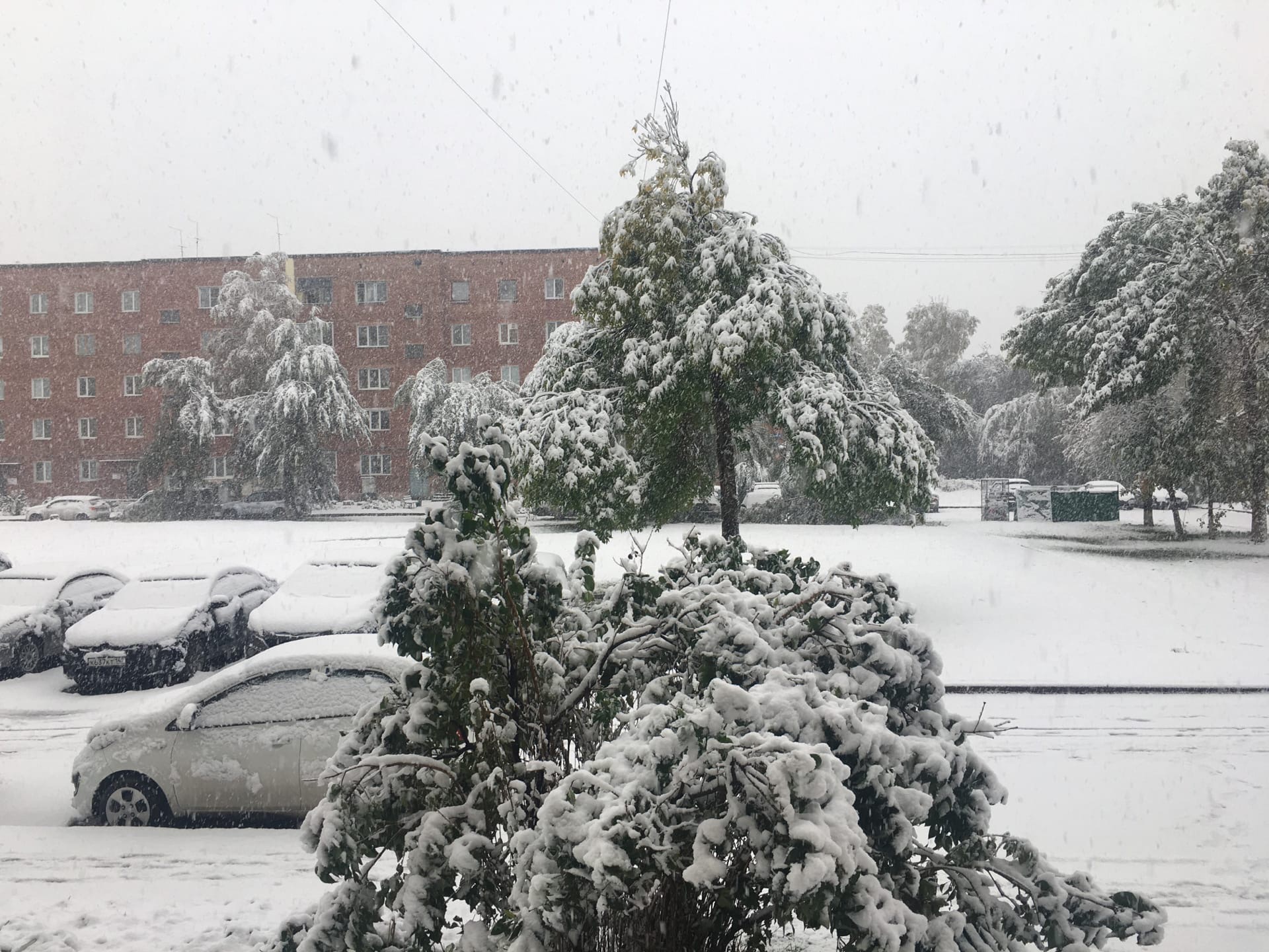 Прогноз сегодня кемерово. Кемерово снег. Первый снег Кемерово. Снег в Кемерово сегодня. Снегопад в Кемерово сегодня.