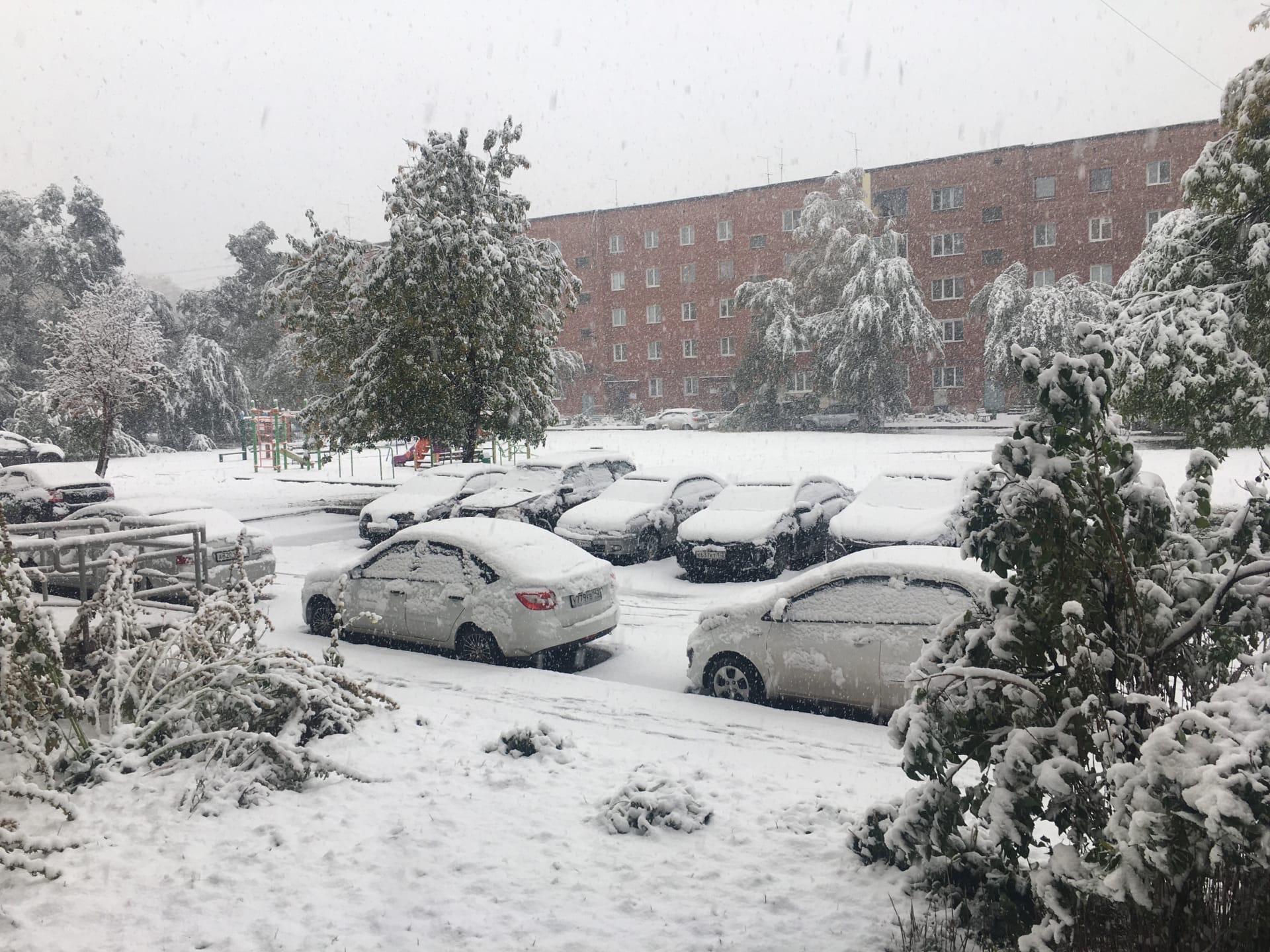Красиво, но рано: Кемерово столкнулся с суровыми последствиями снегопада