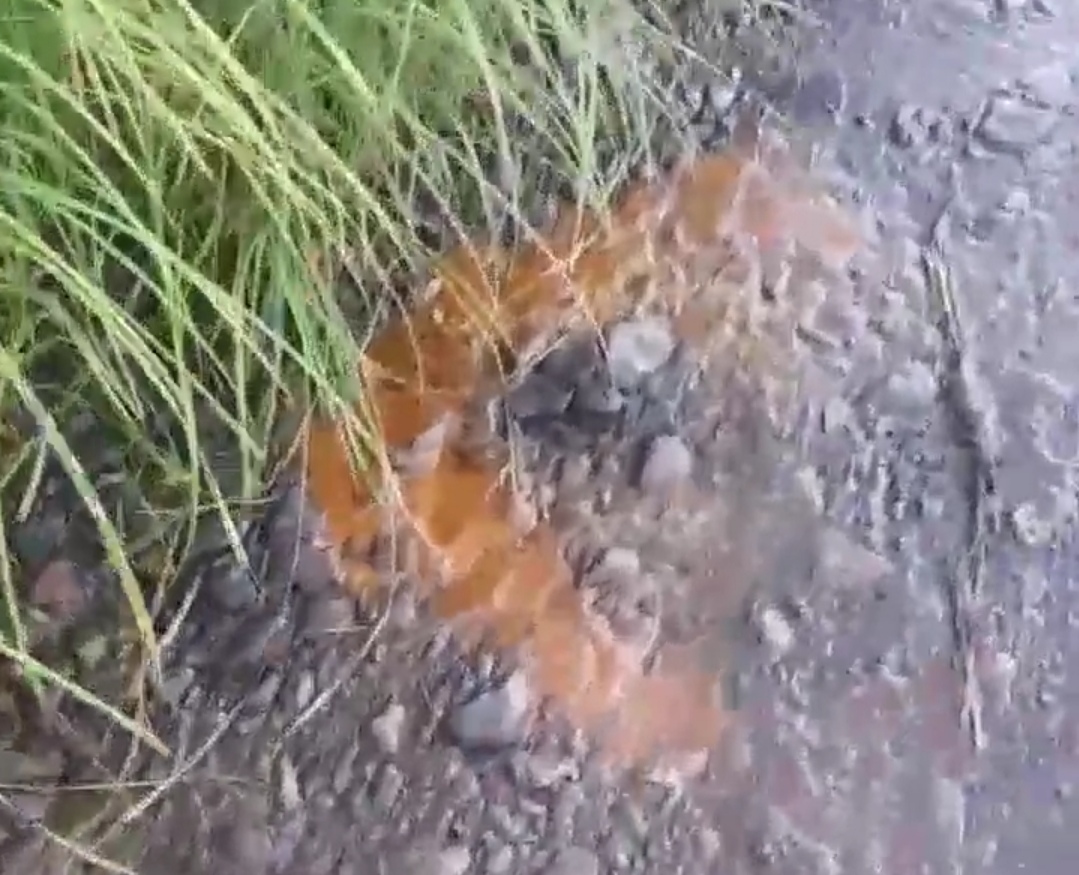 В Кемерове на Томи возле Красного озера найдены нефтепродукты