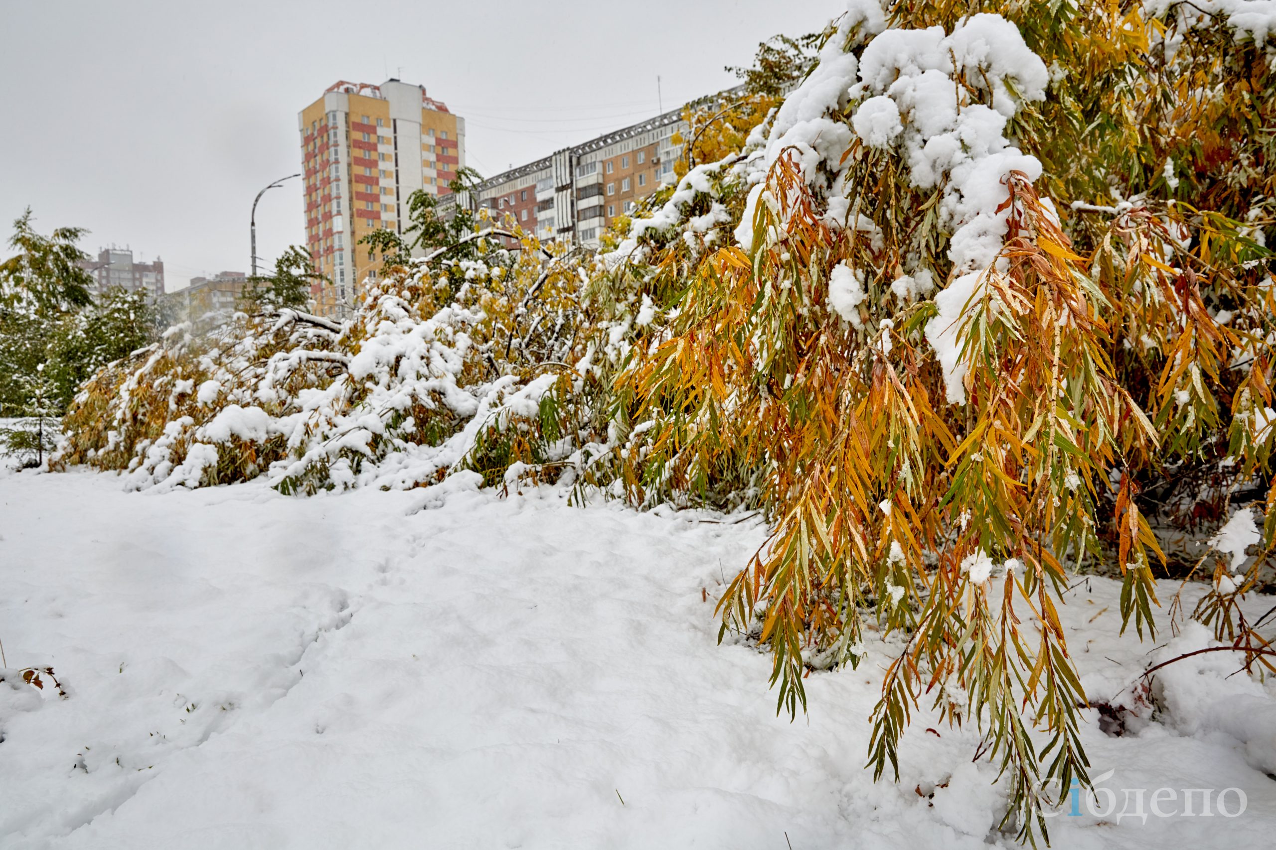 Первый снег Кемерово