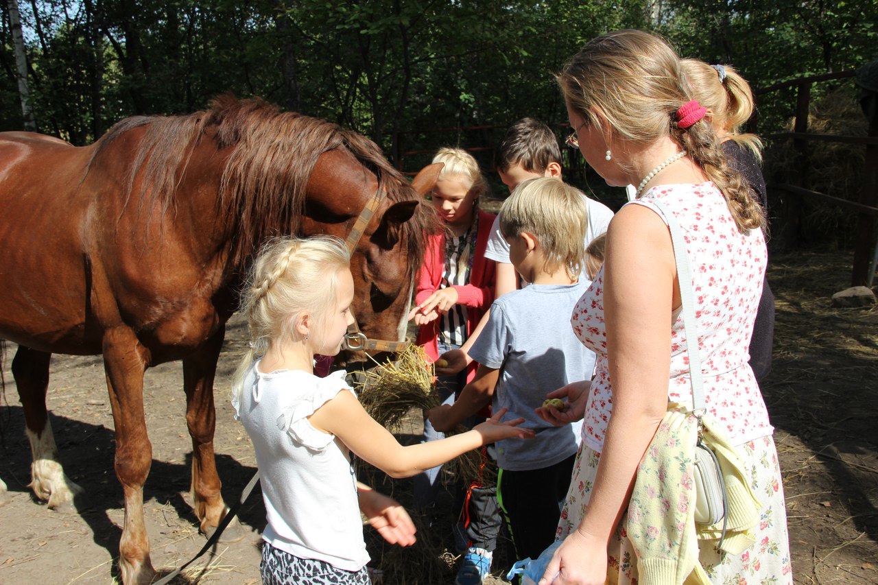 «Позитивно настроенному дадут много любви»: как козы, пони и кролики лечат детей с аутизмом в Новокузнецке