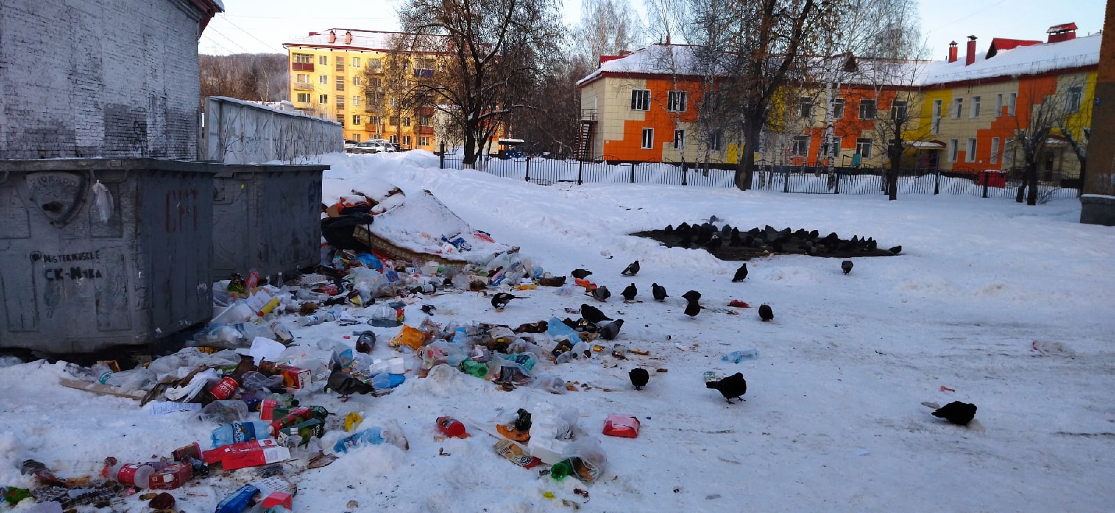 В Кузбассе детсадовцы в мусорке лишают собак еды
