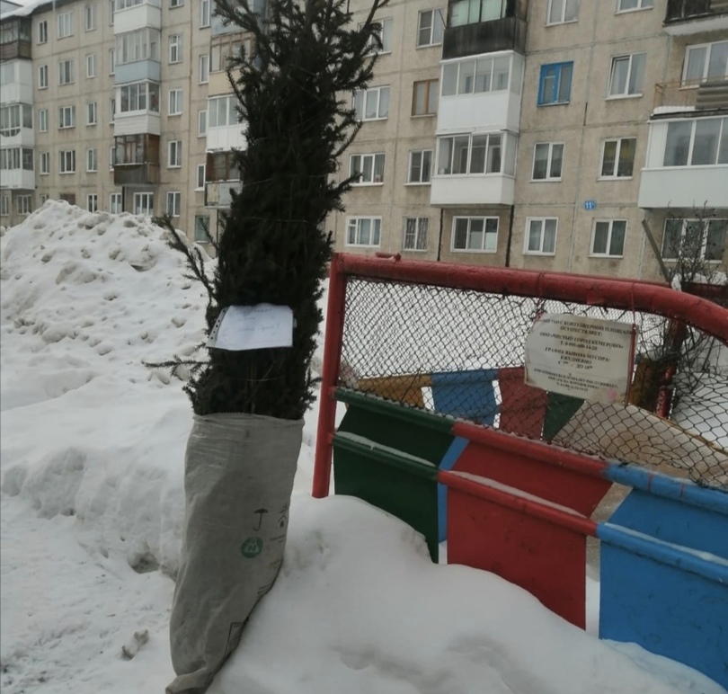 В Кемерове добрые люди оставили новогодний подарок на мусорке