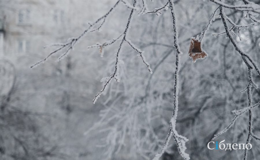 В Кемерове выпало снега в два раза больше положенного