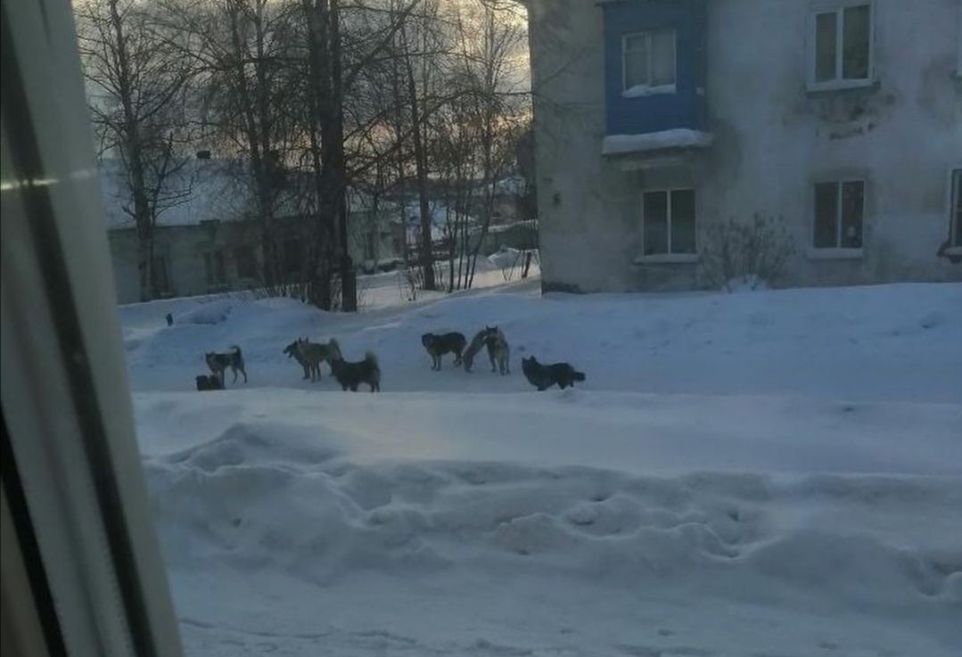 В Кузбассе жители вошли в новый год с прошлогодними страхами