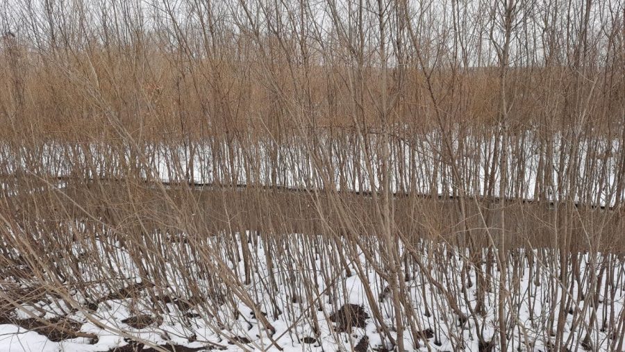 Прогноз сегодня кемерово. Ледоход на Томи 2023 в Кемерово. Томь Кемерово высохла. Томь под снегом Кемерово. Апрель Кемерово погода фото.