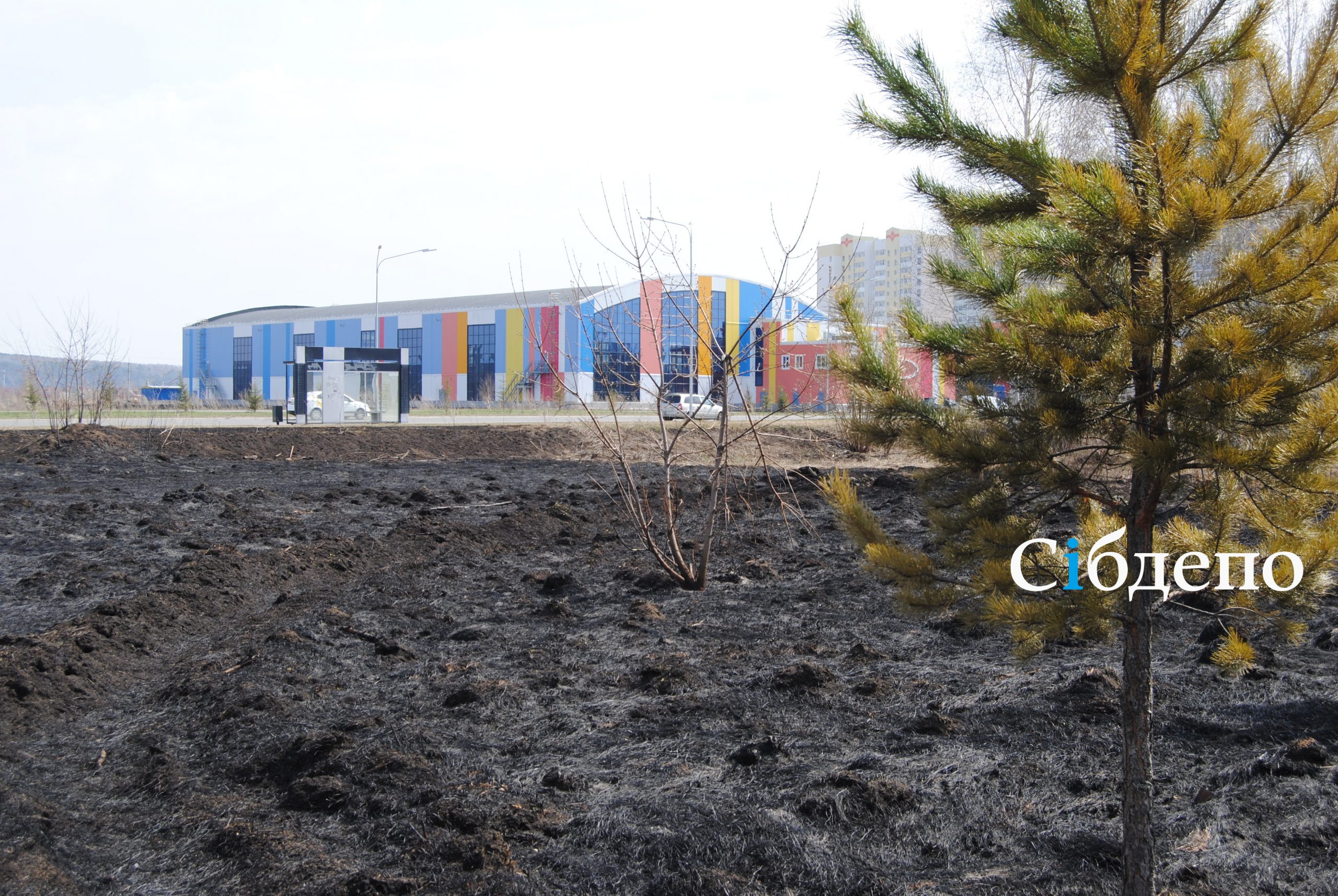 Выжженная трава и едкая гарь: как выглядит популярный парк Кемерова после пожара