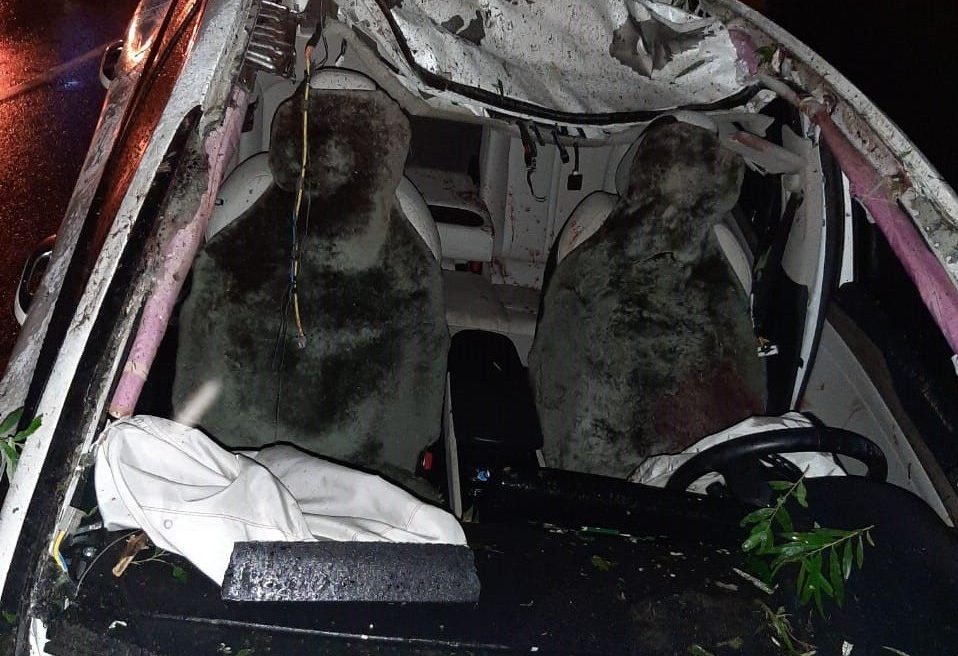 На кузбасской трассе в жутком ДТП с диким животным погиб водитель
