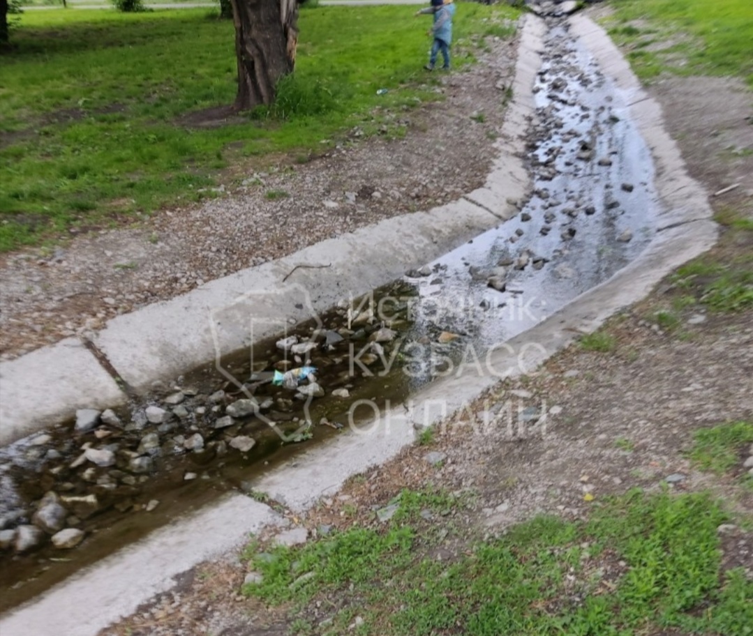В Кузбассе посетителя парка шокировала загрязнённость в маленькой речке
