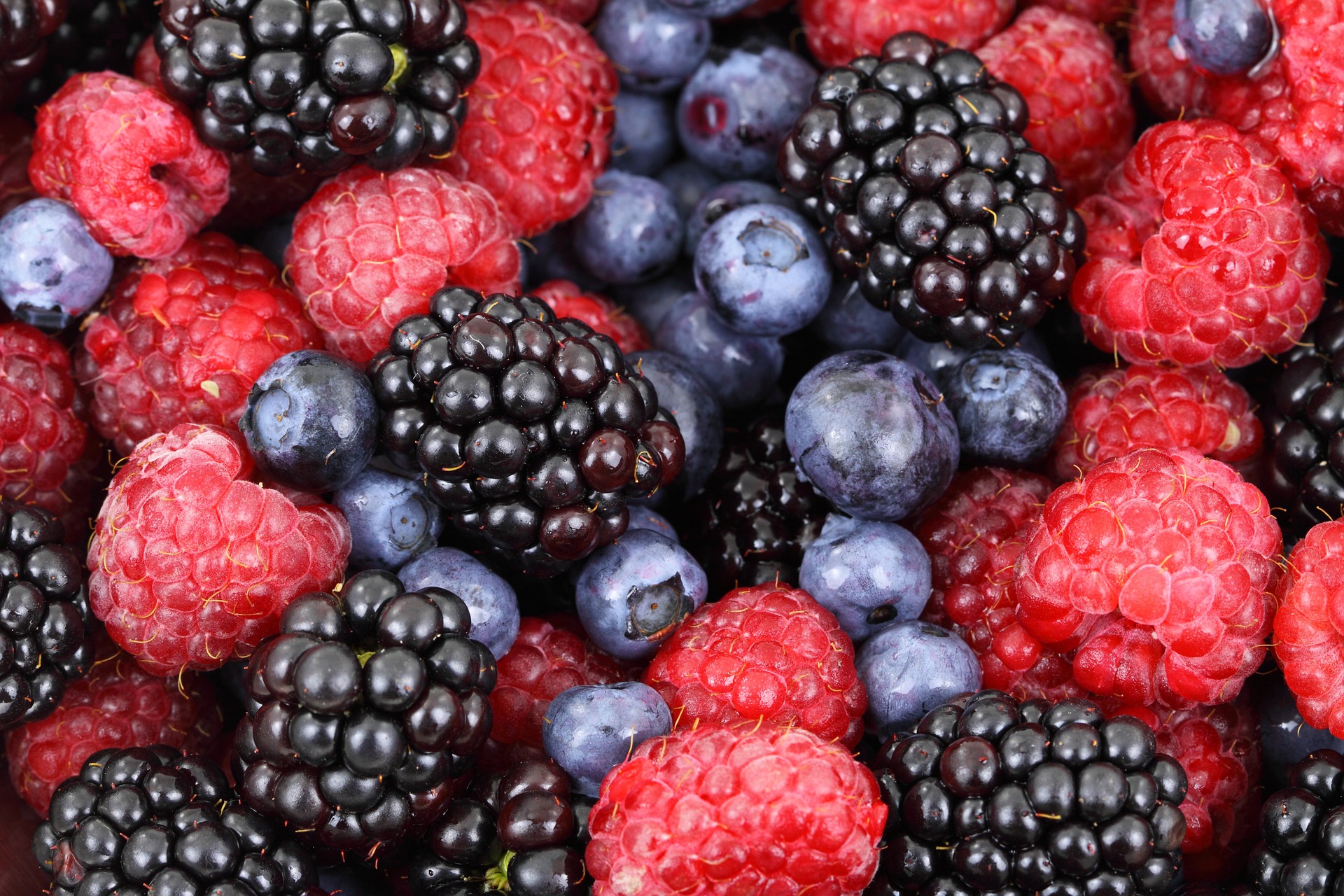 Крупный российский маркетплейс Wildberries стал называться «Ягодки»