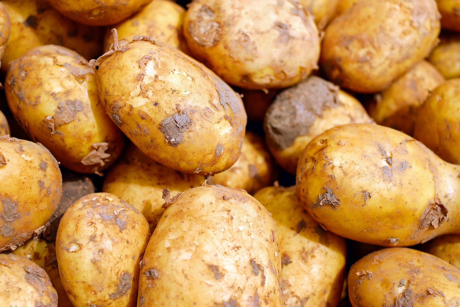 Жители Кузбасса из всех овощей едят 50% картошки