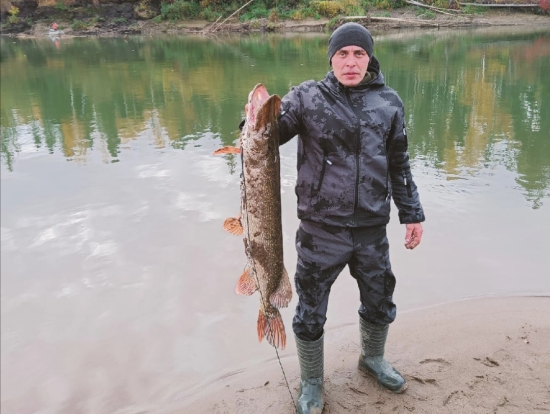 В Кузбассе на реке Кия рыбак выловил невероятную рыбу