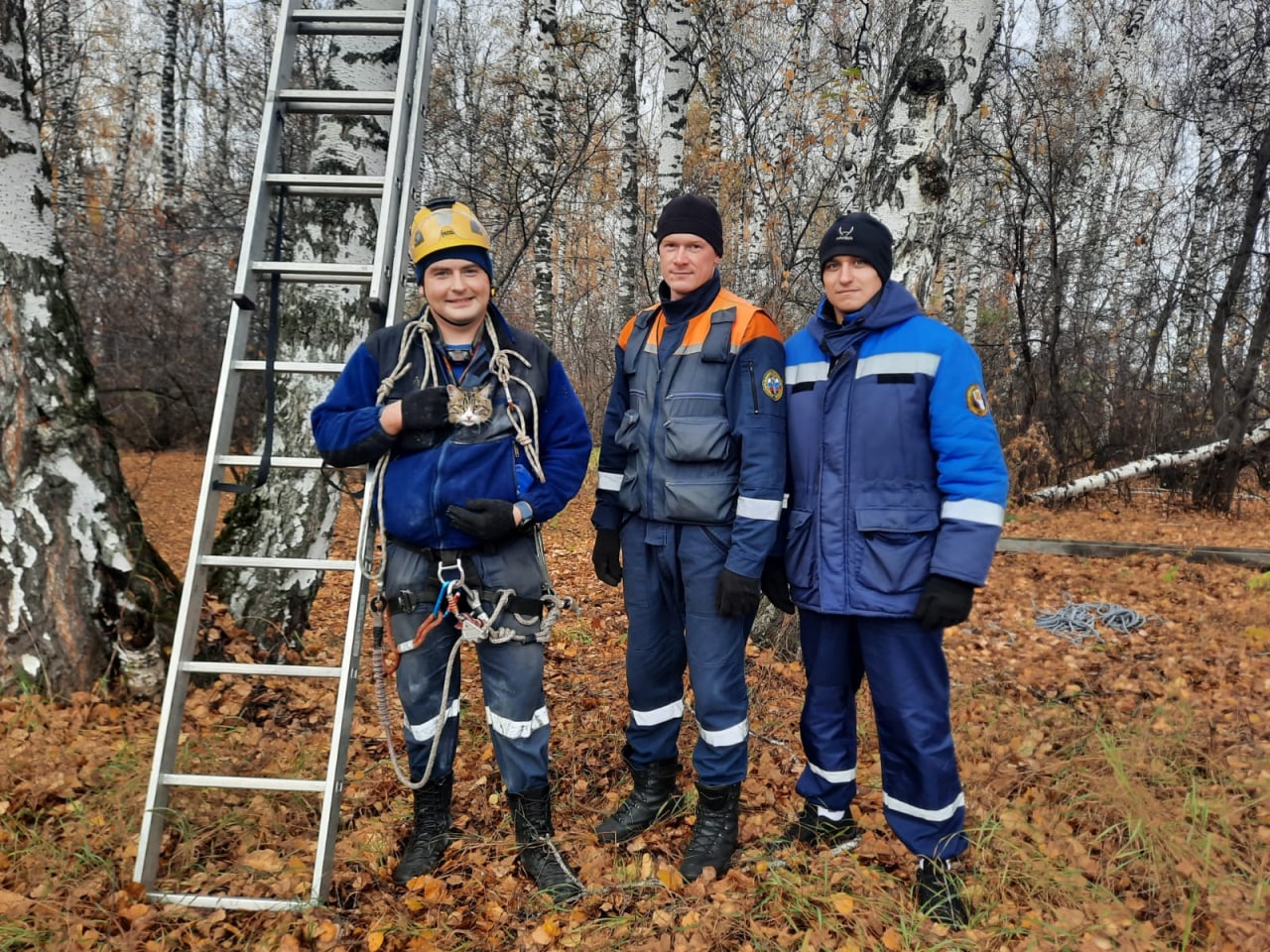 Кузбасские спасатели помогли котику