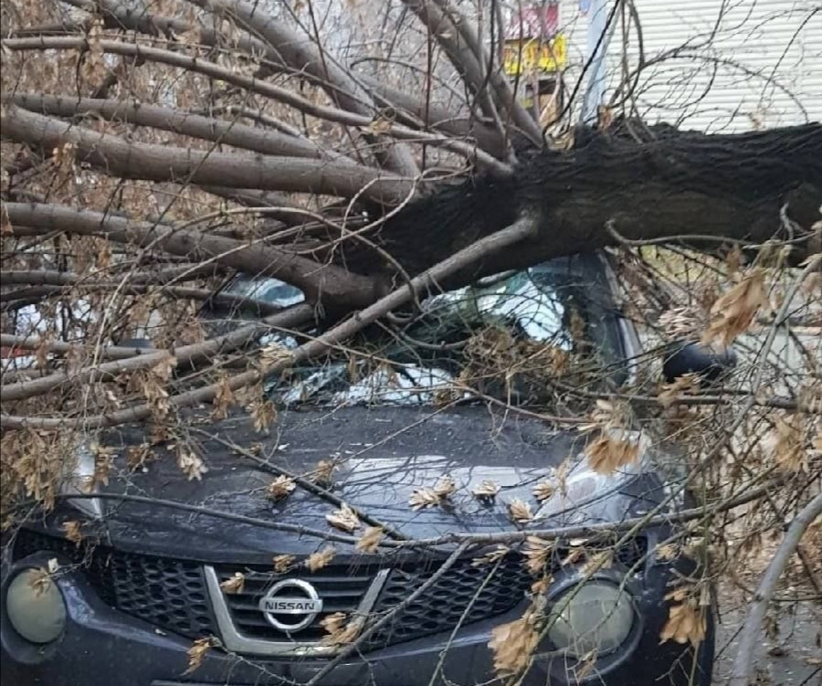 Жуткие последствия урагана: в Кузбасс ветер снёс крышу и уронил дерево на автомобиль