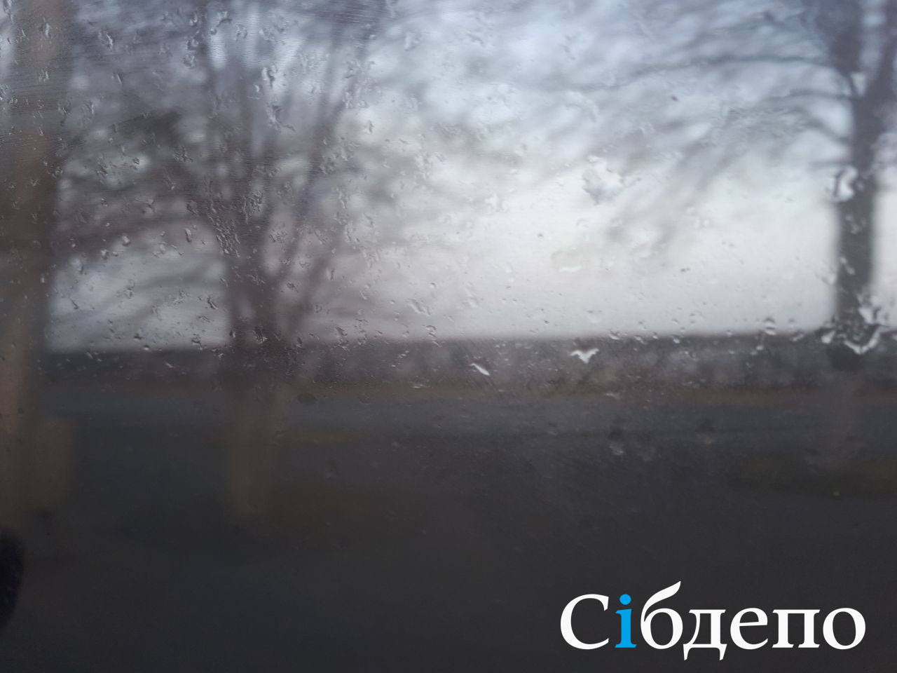 Радиационные или адвективные: синоптики рассказали о происхождении туманов в Кузбассе
