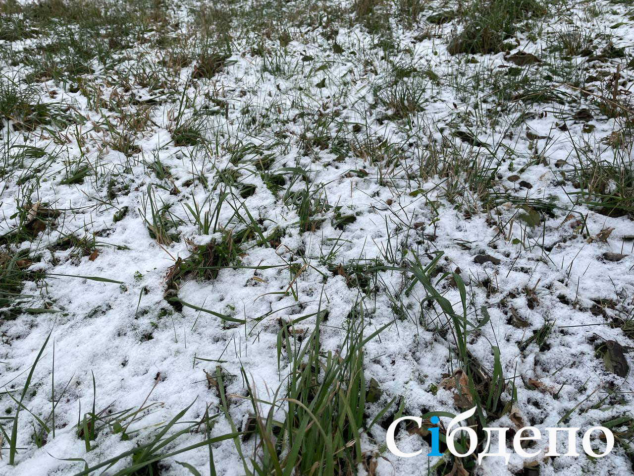 Припорошило снегом. Растает Уссурийск белый снег.