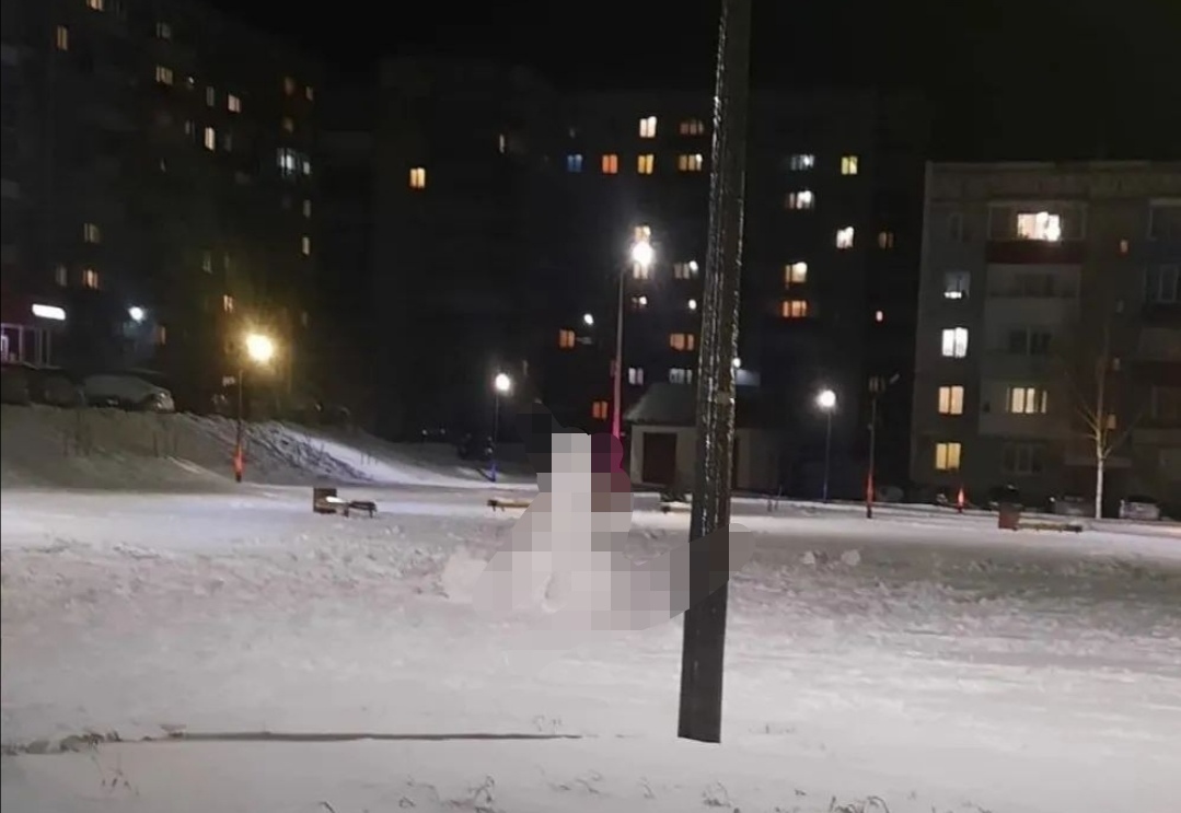 В Кузбассе вылепили из снега огромный половой орган на городской площади