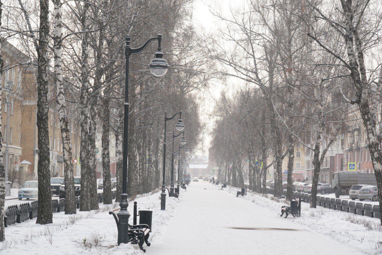 В Кемерове аллея на улице Кирова засияет круглогодичной световой иллюминацией