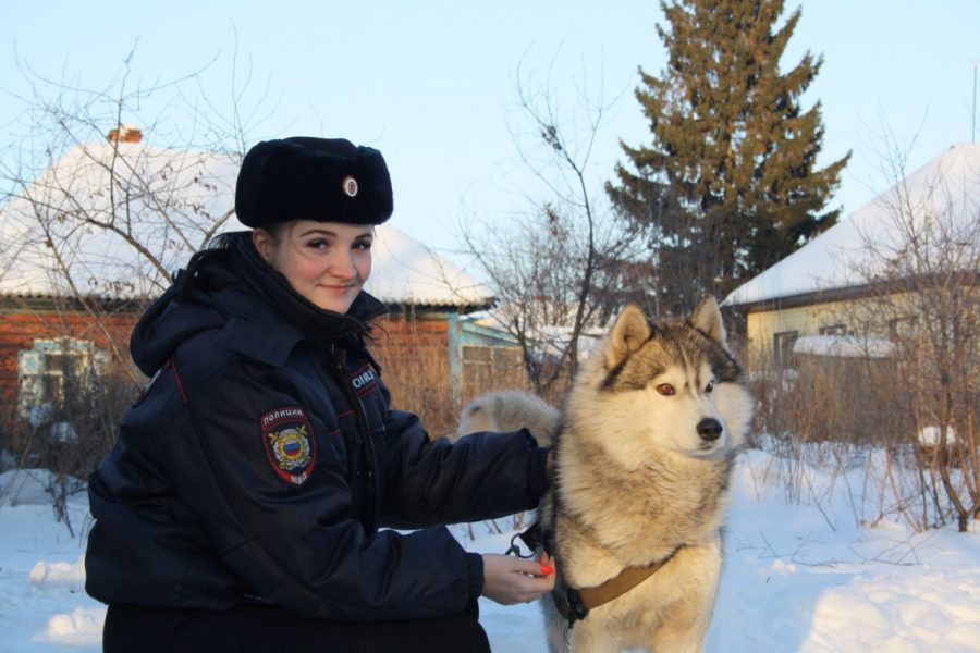 В Кузбассе полицейская спасла хаски от разъяренной стаи собак