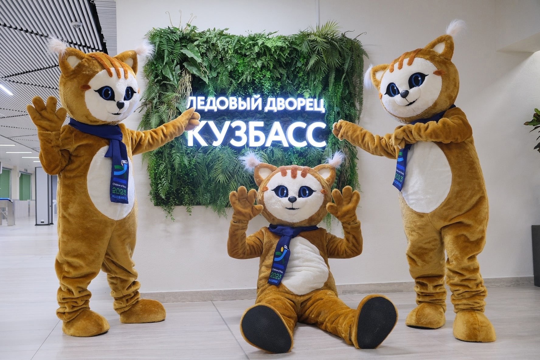 Всех ждут на трибунах: как жителям Кузбасса стать зрителем на «Детях Азии»