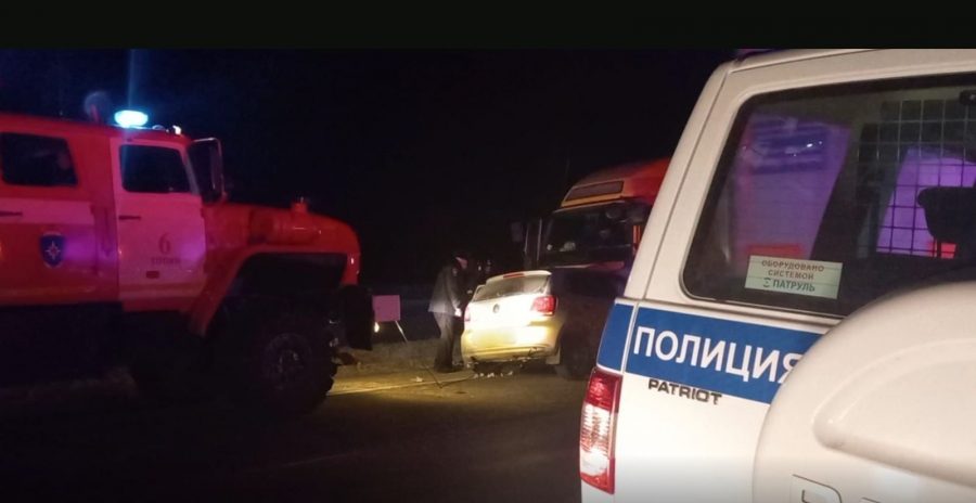 Целая семья погибла в аварии с грузовиком из-за дикого зверя в Кузбассе