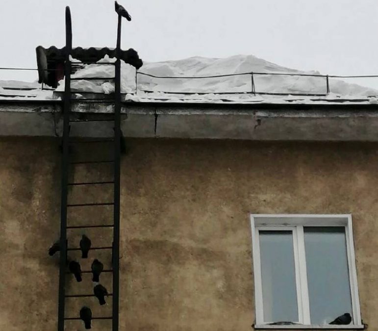 В Кузбассе из-за снега мужчину лишат денег, сил и доверия
