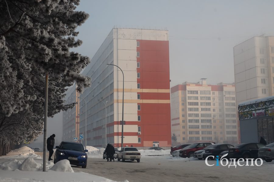 ГИБДД раскрыла дату масштабной проверки водителей в Кемерове