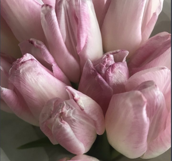 В Кемерове на 8 марта женщина получила уставшие тюльпаны