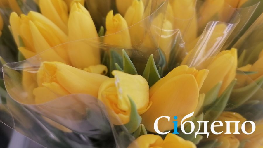 Тюльпаны бывают разные: эксперты назвали популярные цвета на 8 марта