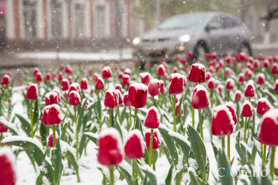 Погодные аномалии ожидаются в Кузбассе марте