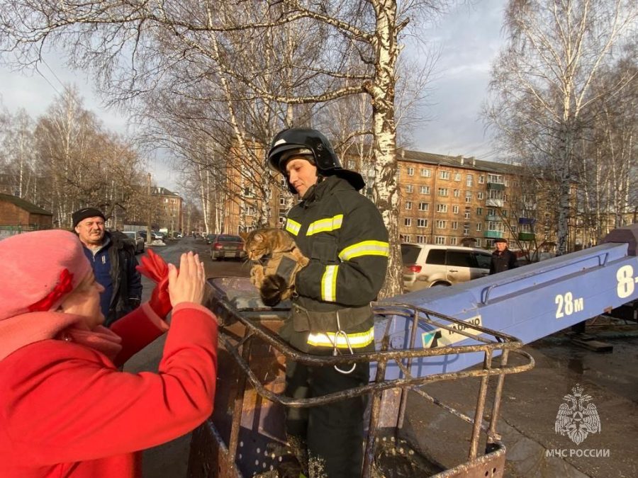 Пожарный снял кошку с дерева в Кузбассе