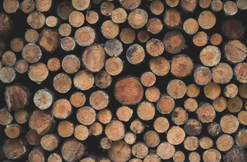 Эксперты рассказали, куда и сколько из Кузбасса вывозят древесины