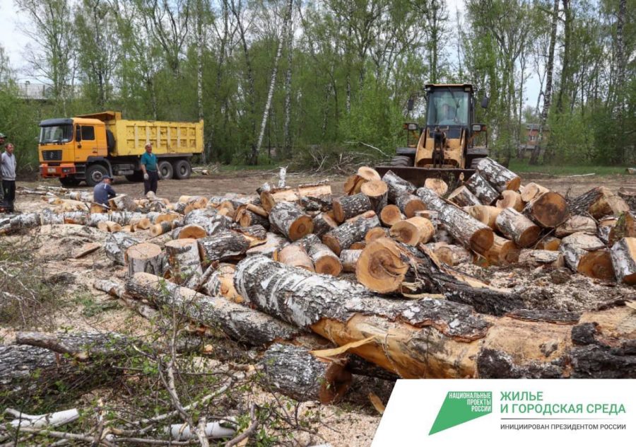Санитарная вырубка деревьев и благоустройство: популярное место Кемерова скоро изменится