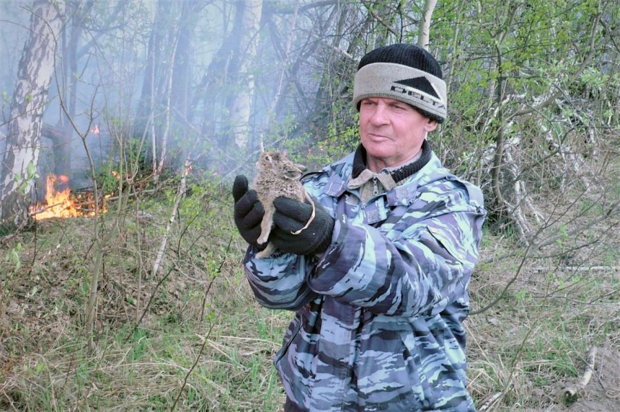 Кузбассовец спас обгоревшего зайчика из лесного пожара