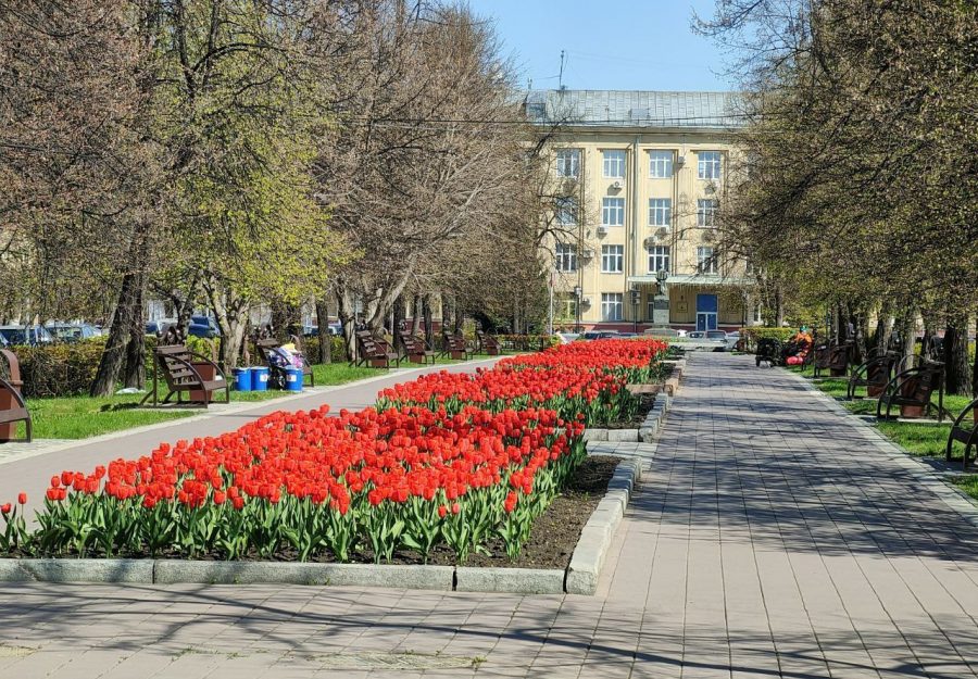 «Сколько стоит миллион цветов»: в мэрии Кемерова оригинально ответили на вопрос