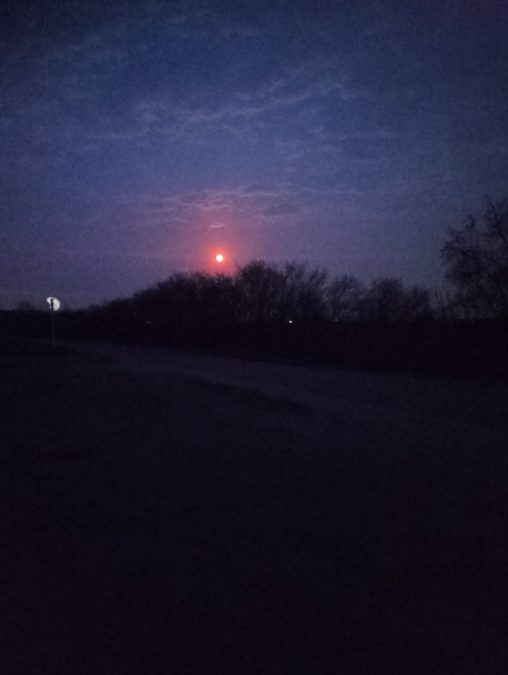 Луна взошла багровая и хмурая. Солнце багровое тревожно. Фото тумана и кровавой Луны вместе еще и ночью.