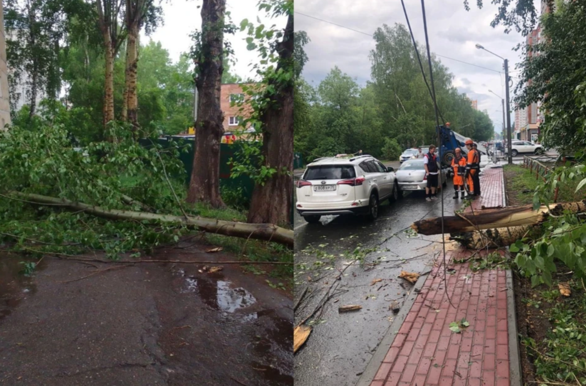 Последствия урагана в новокузнецке