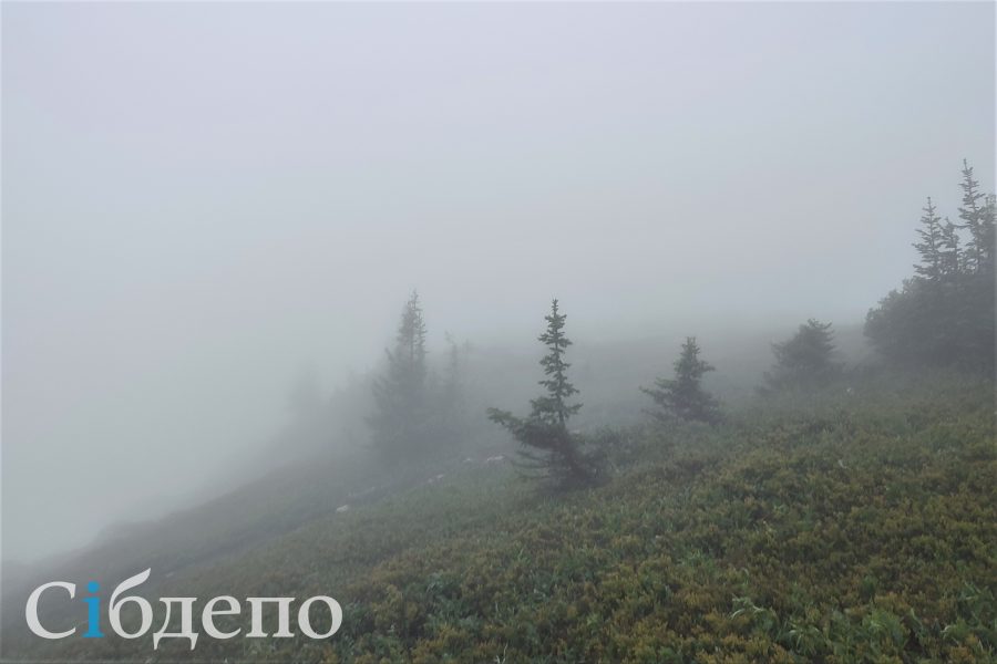 Видимость в условиях тумана такая, что заблудиться могут даже опытные туристы.