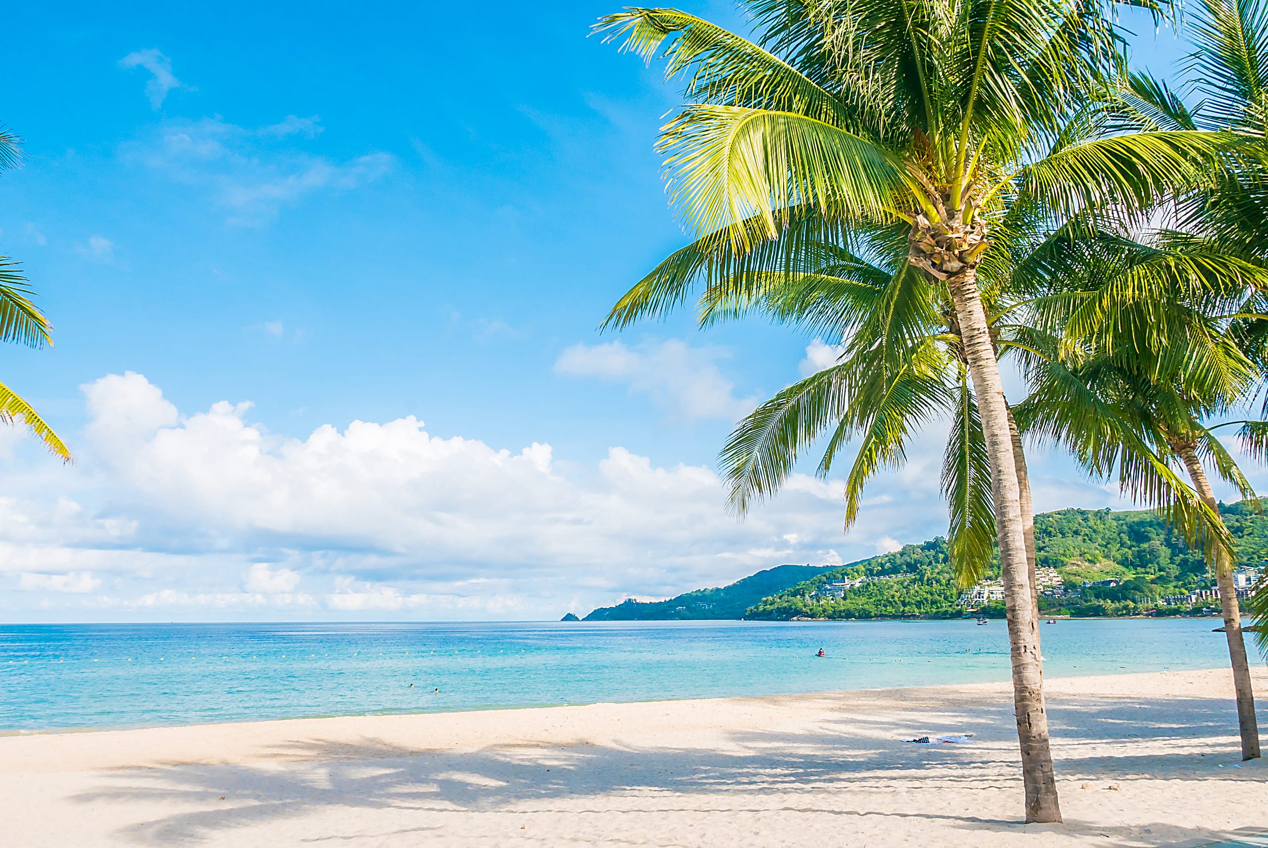 Tropical beach. Море пляж пальмы. Море пальмы и песок. Тропический пляж. Пальмы песок.