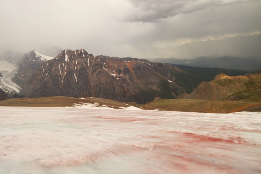 Сибирские ледники тают быстрее: ученые рассказали, чем это грозит