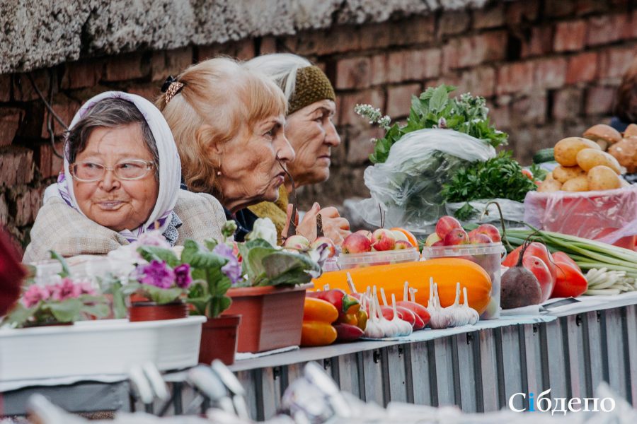 Подпольная торговля, пенсионерские интриги, фига в камеру и много-много денег: как живут «зеленые рынки» Кемерова