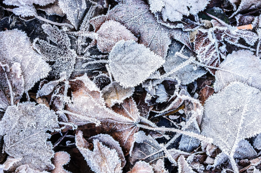 Холодно: в Кузбассе на этой неделе будет минусовая температура