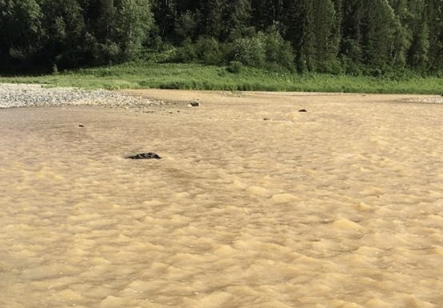Одна из рек Кузбасса загрязнена сбросами золотодобытчиков