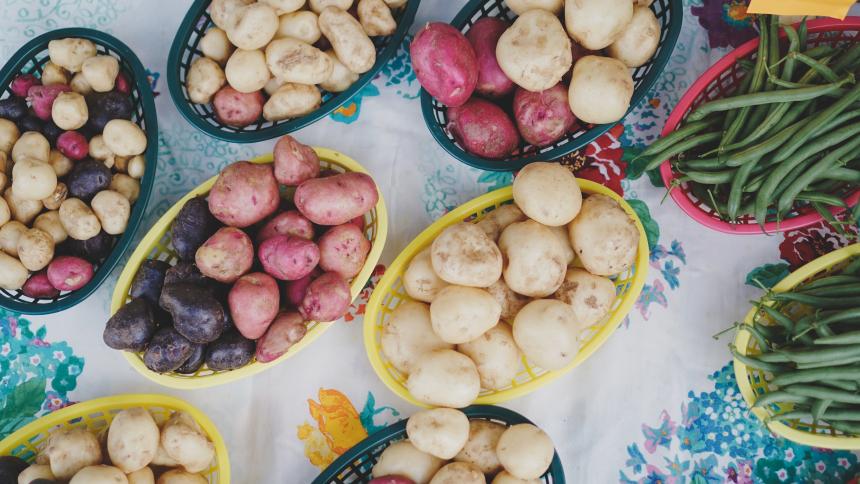 В позу огородника — правильно: сибирякам дали совет по выживанию на копке картошки