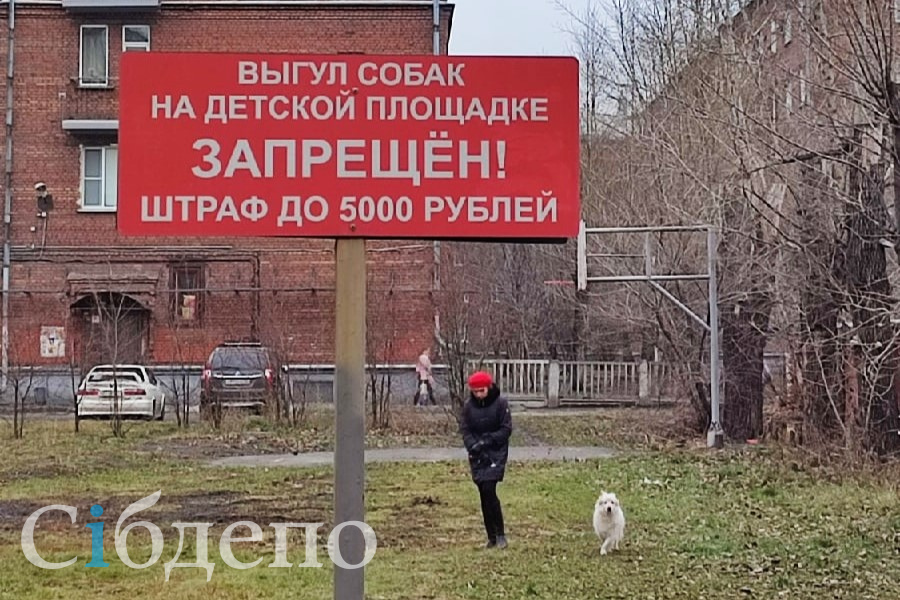 «Нам нужна своя территория»: горожане обратились с просьбой к мэру Новокузнецка
