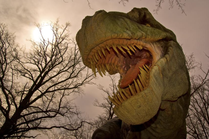 Ровесники динозавров сохранились и выжили в кузбасской тайге