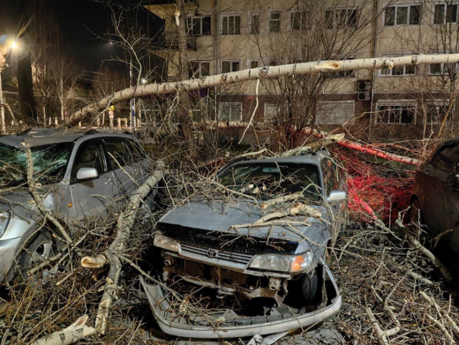 Ураган в Кузбассе закончился, а опасность осталась: деревья продолжают вредить
