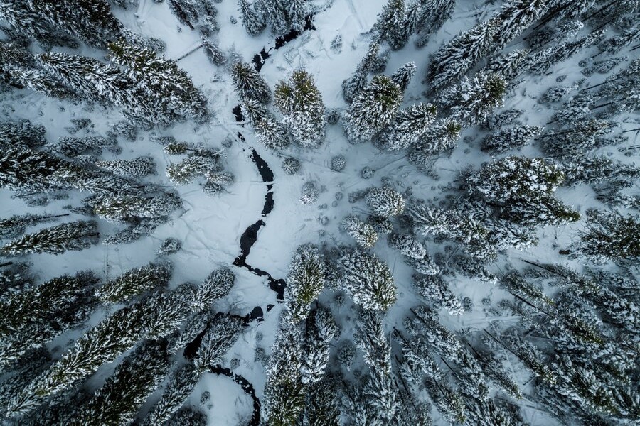 Дроны поднялись над лесами в Сибири